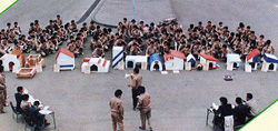 昭和59（1984）年絵画館前での犬小屋品評会