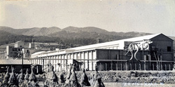 昭和29年ごろの足柄工場