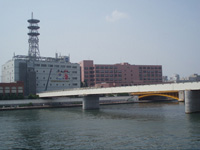 両国国技館側から隅田川越しに蔵前国技館跡地（下水道局建物）を見る