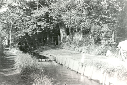 大正初期の谷田川。田端の台地部や中里で農業用水として使われ、上野の不忍池に注いでいた。田端文士村記念館提供