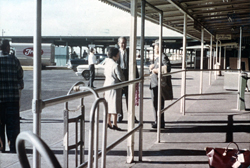 昭和35（1960）年のホノルル空港の様子