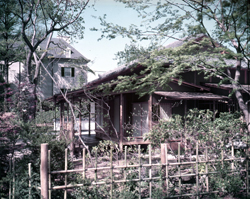 木々が茂る庭越しの茶室全景