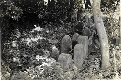 坂本の共同墓地（1969年7月撮影）