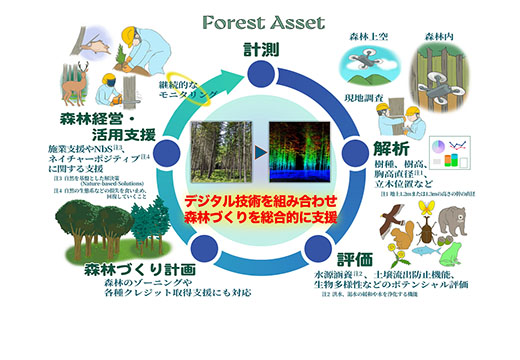 デジタルで森林づくりを総合支援！ | プレスリリース | 鹿島建設株式会社