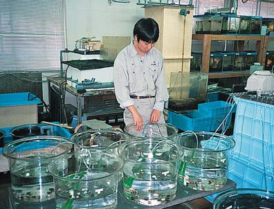 葉山水域環境研究室