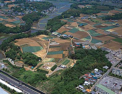 検見川緑化試験場