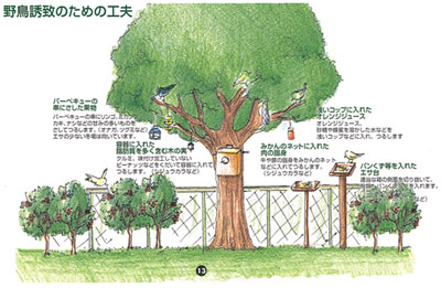 �����q�ł̓r�I�g�[�v������q���g���킩��₷���C���X�g�ŉ������Ă���