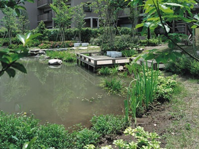 �r�I�g�[�v