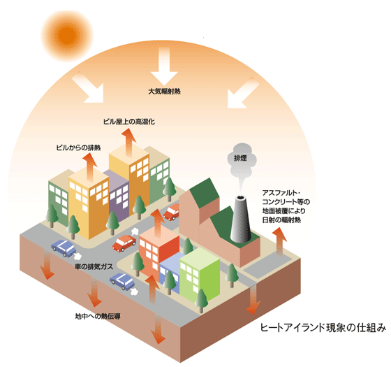 ヒートアイランド現象を防ぐ屋上緑化