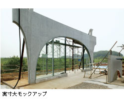 僂bNAbv
