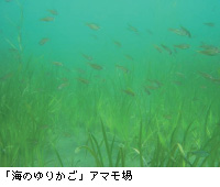 uĈ肩vA}