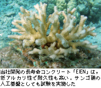 当社開発の長寿命コンクリート「EIEN」は，低アルカリ性で耐久性も高い。サンゴ礁の人工基盤としても試験を実施した