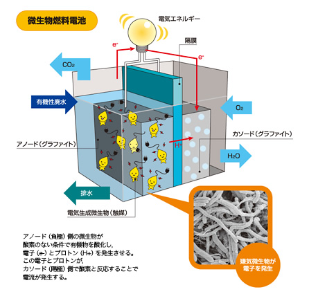 図：微生物燃料電池