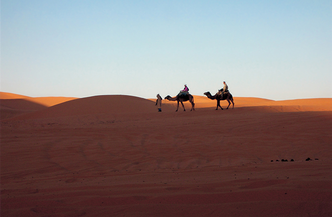 写真：サハラ砂漠をラクダで移動する。砂丘は風によって地形が変わり道路は存在しない