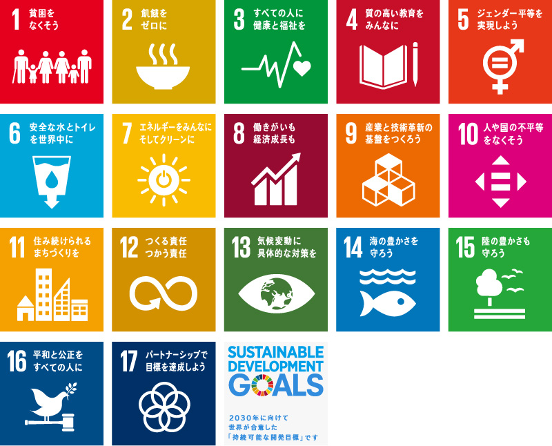 図版：表1 持続可能な開発目標（SDGs）の詳細