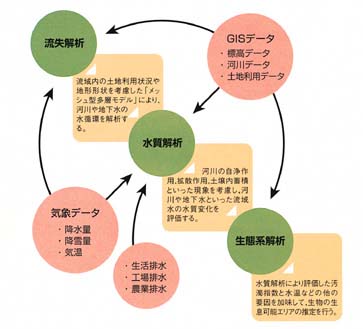 �I���f�B�[�k