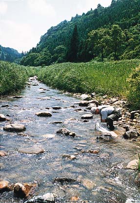 ���j�^�����O����