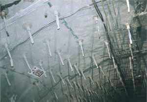 �˂��o�������z�[�X�ŗ{��