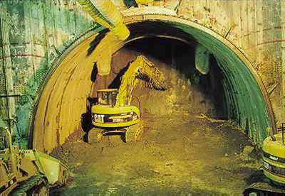 �����B�㔼�̌@��