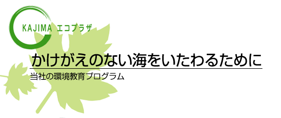 ̂ȂC邽߂