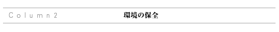 ̕ۑS