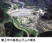 {H̐XgR_̒