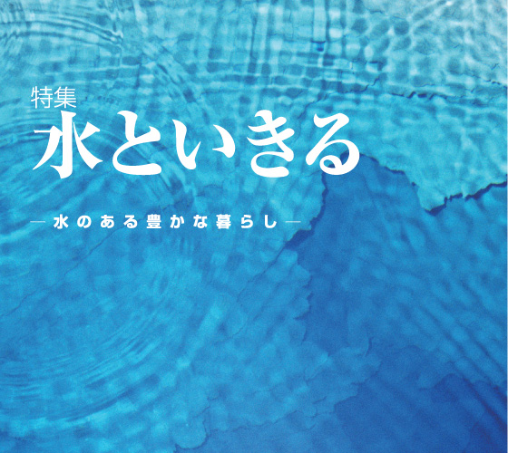 Ƃ|̂Lȕ炵