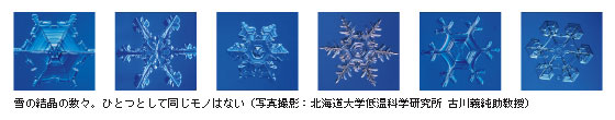 雪の結晶の数々。ひとつとして同じモノはない（写真撮影：北海道大学低温科学研究所 古川義純助教授）