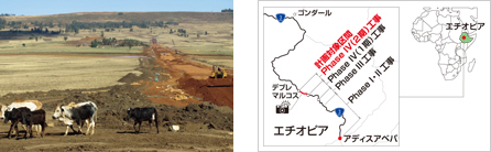 図版：5月号「鹿島の見える風景」で紹介したエチオピアからの投稿