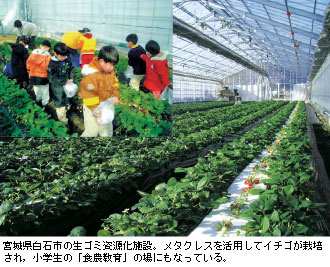 宮城県白石市の生ゴミ資源化施設。メタクレスを活用してイチゴが栽培され，小学生の「食農教育」の場にもなっている。