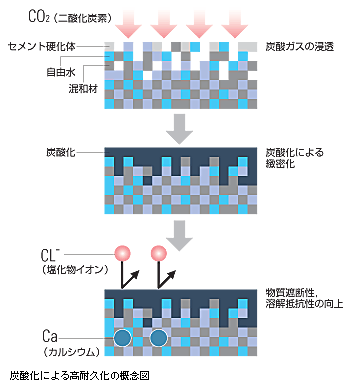 Y_ɂ鍂ϋv̊TO}