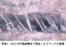 写真3：〈ECC〉の引張試験体で発生したクラックの局部