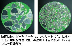 断面比較。従来型ポーラスコンクリート（右）に比べると，環境配慮型（左）の空隙（緑色の部分）の大きさは一目瞭然だ