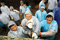 写真：住民と大学生による橋づくり。村の外部から来た大学生と住民が協働して橋をつくった