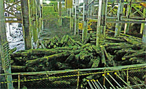 写真：地下躯体の新設と免震化のため，約1万本の松杭を撤去。鉄骨の仮受け支柱が建物荷重を受けている