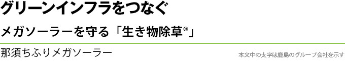 グリーンインフラをつなぐ　メガソーラーを守る「生き物除草®」　那須とふりメガソーラー