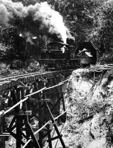 図版：台湾・阿里山鉄道