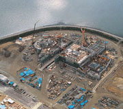 �E�C���Y�Ďq�V�ݍH��