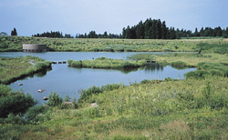 ���ԍ������]�[�g�̃G�R�g�[�v