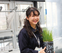 橋本 芳