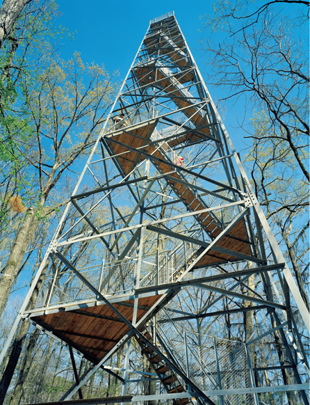 写真：鳥類観察塔としてはアメリカで一番の高さとなった30mのタワー
