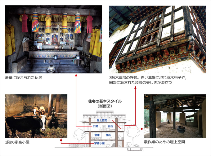 図版：住宅の基本スタイル（断面図）