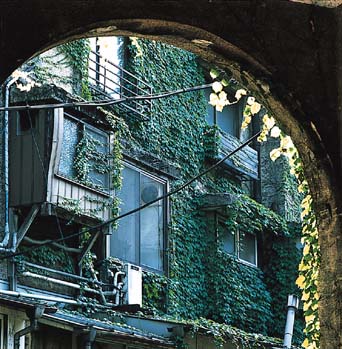 ��������㊯�R�A�p�[�g