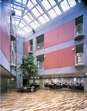 �����w�@���w�Z�E�����w�Z�̃A�g���E��