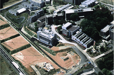 �������p��w�����q�L�����p�X�̑S�i