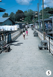 写真：メインストリートと歩道