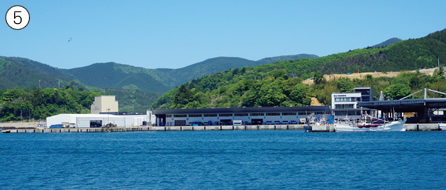 写真：再建された女川魚市場