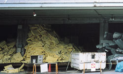 �f�M�ރO���X�E�[���̕��ʃ��T�C�N���͑S����