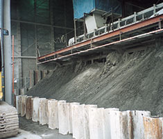 �����������ꂽ�����y