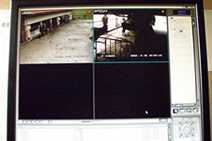 写真：「地元牛舎監視システム」で飛騨牛への影響を監視 